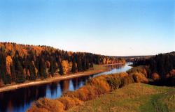 тимофеева т.в. 6